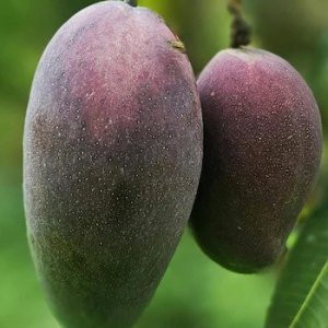 9b3fc427a46ecb27deab03af97f5fde0-6a1b9f3c7b0b5.jpg