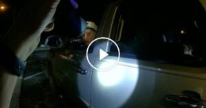 OPVID_ICE-PROFILING_thumb-facebookJumbo.jpg