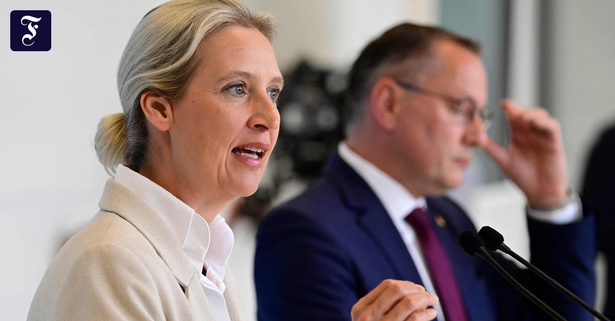 alice-weidel-und-tino.webp.webp