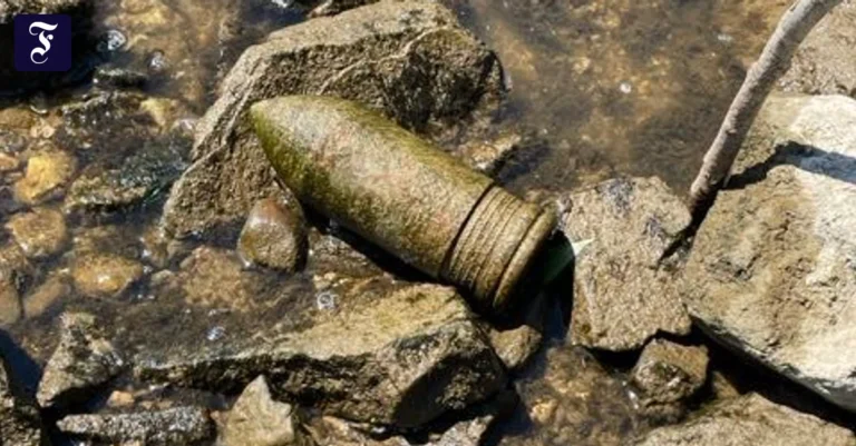 am-rheinufer-das-30-zentimeter.webp.webp