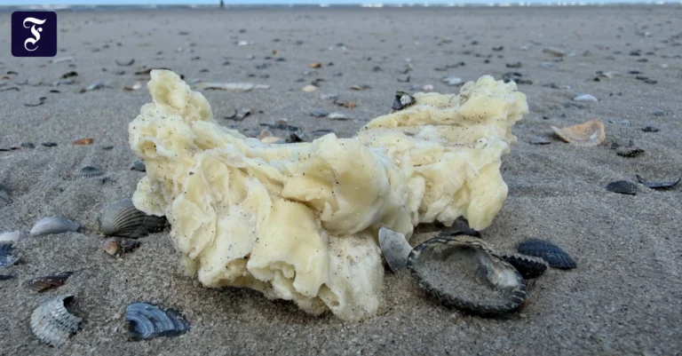 am-strand-von-norderney-ist-am.webp.webp