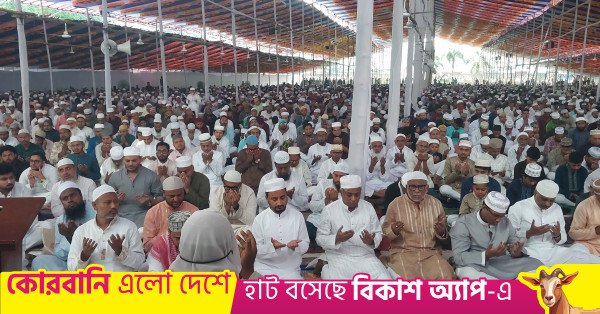 anindya_islam_amit.jpg