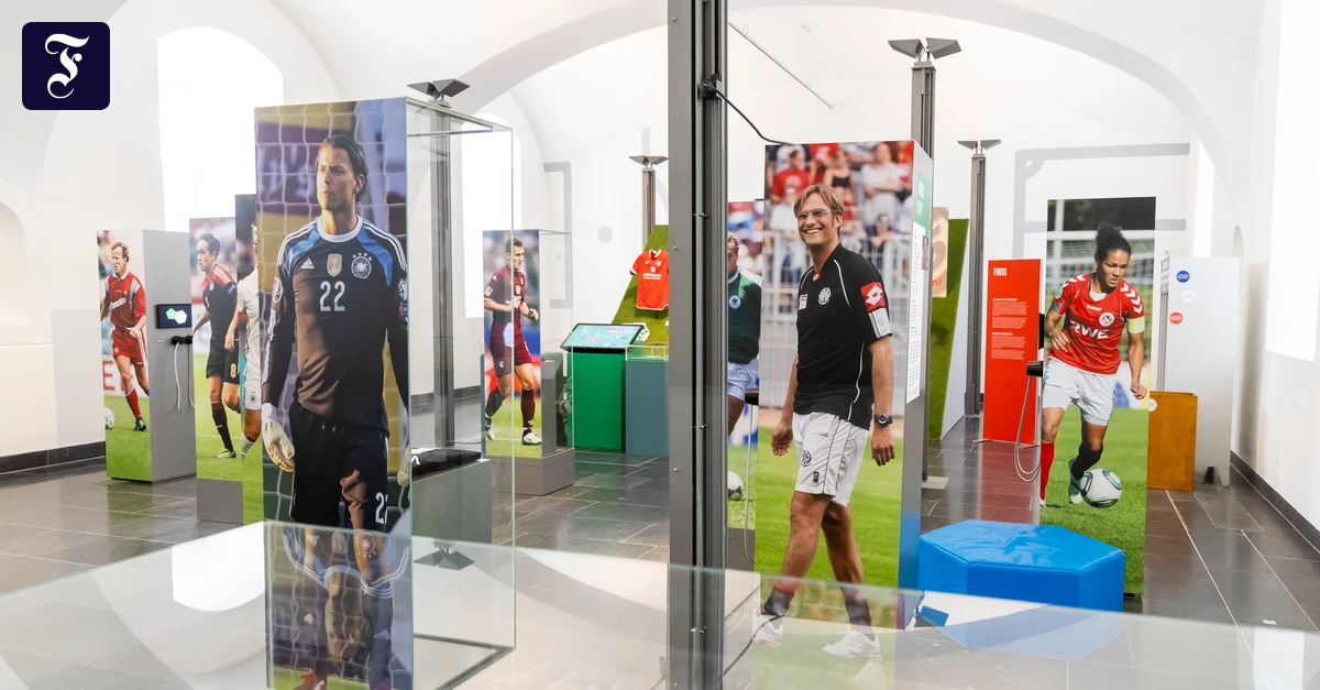 ballhalla-passend-zur-fussball.webp.webp