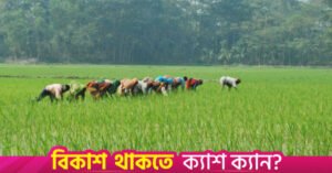 bangladesh_paddy_field_6.jpeg