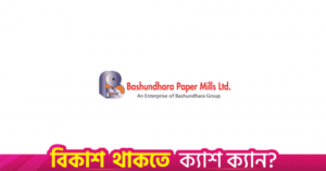 bashundhara_paper_mills_limited.png