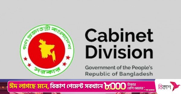 cabinet_division.jpg