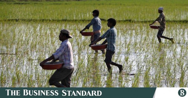 cultivation_crops_farmers_yeild_.jpg