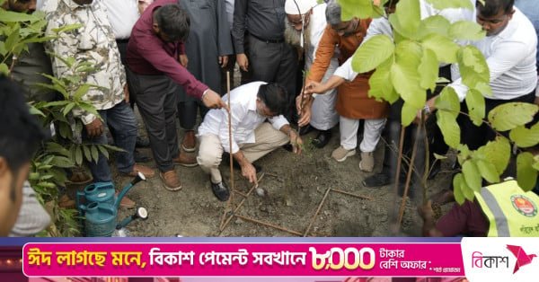 dncc_tree_plantation.jpeg