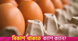 egg-7345934_340.jpg