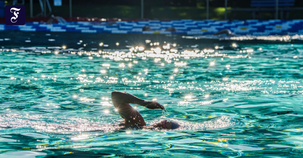 fruehschwimmer-ziehen-im.webp.webp
