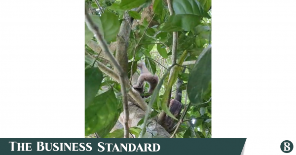img-20260521-wa0006_16x9.png