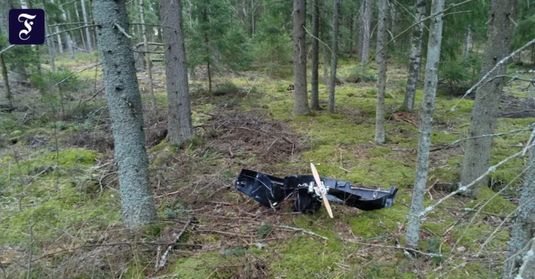 in-einem-wald-nahe-der.webp.webp