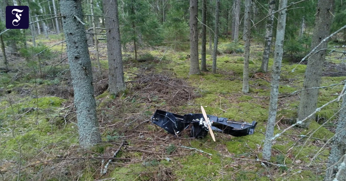 in-einem-wald-nahe-der.webp.webp
