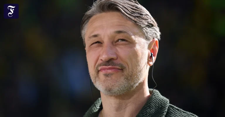 klare-prinzipien-trainer-niko.webp.webp