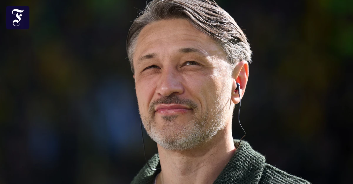 klare-prinzipien-trainer-niko.webp.webp