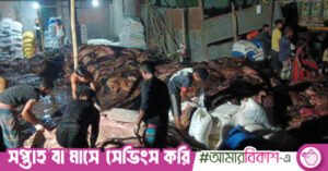 lakhsmipur_rawhide.jpeg