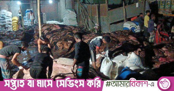 lakhsmipur_rawhide.jpeg