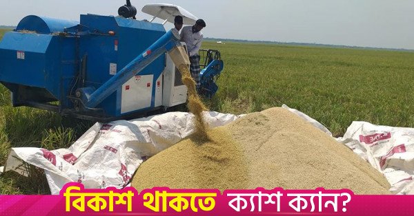 netrakona-harvesting_pic-3.jpg