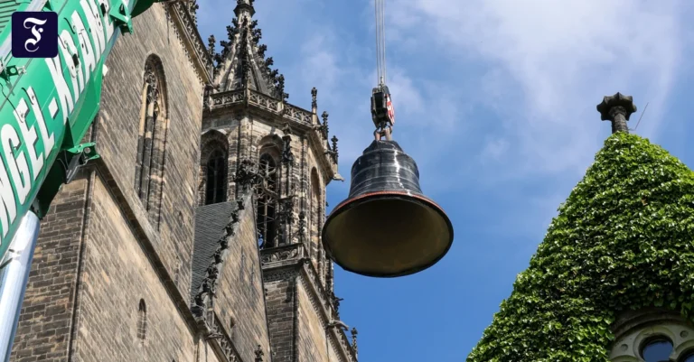 neuzugang-die-zweitgroesste.webp.webp