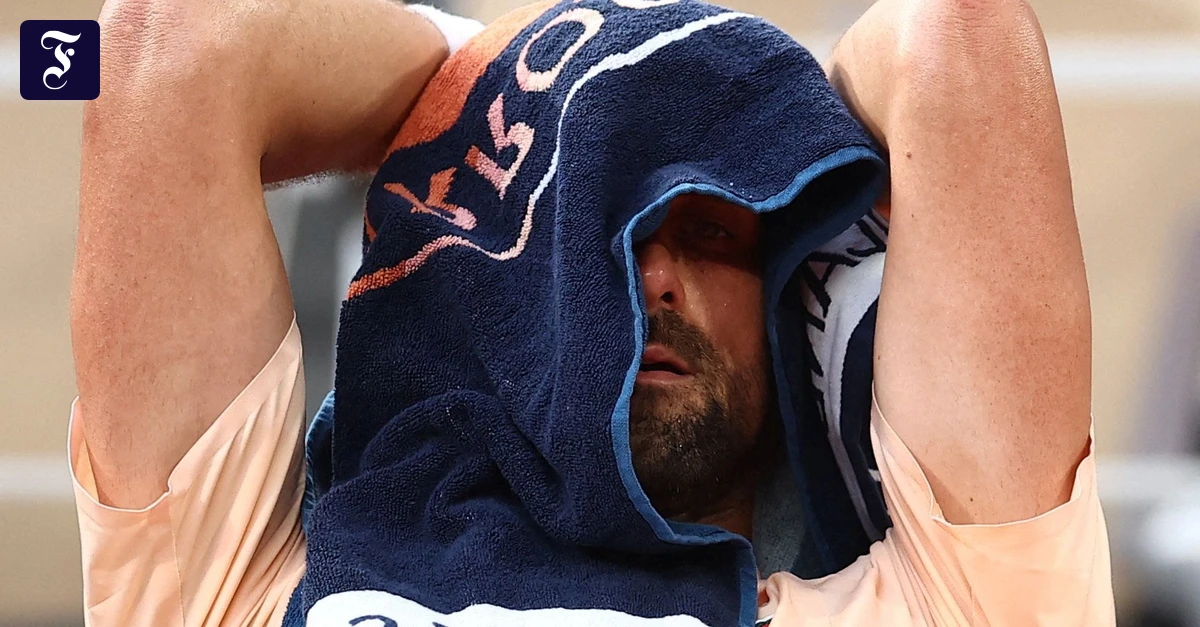 nur-noch-verstecken-novak.webp.webp