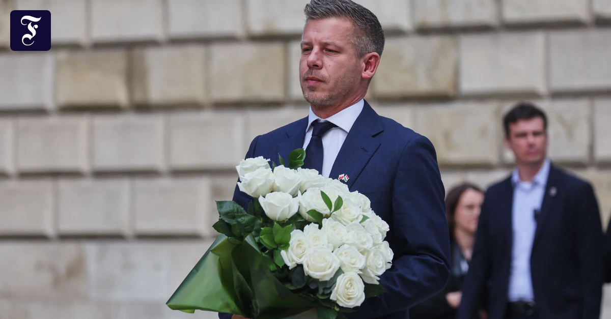 p-ter-magyar-legt-am-19-mai.webp.webp