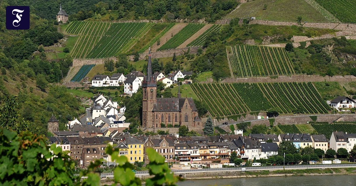 praegende-steillagen-weinberge.webp.webp