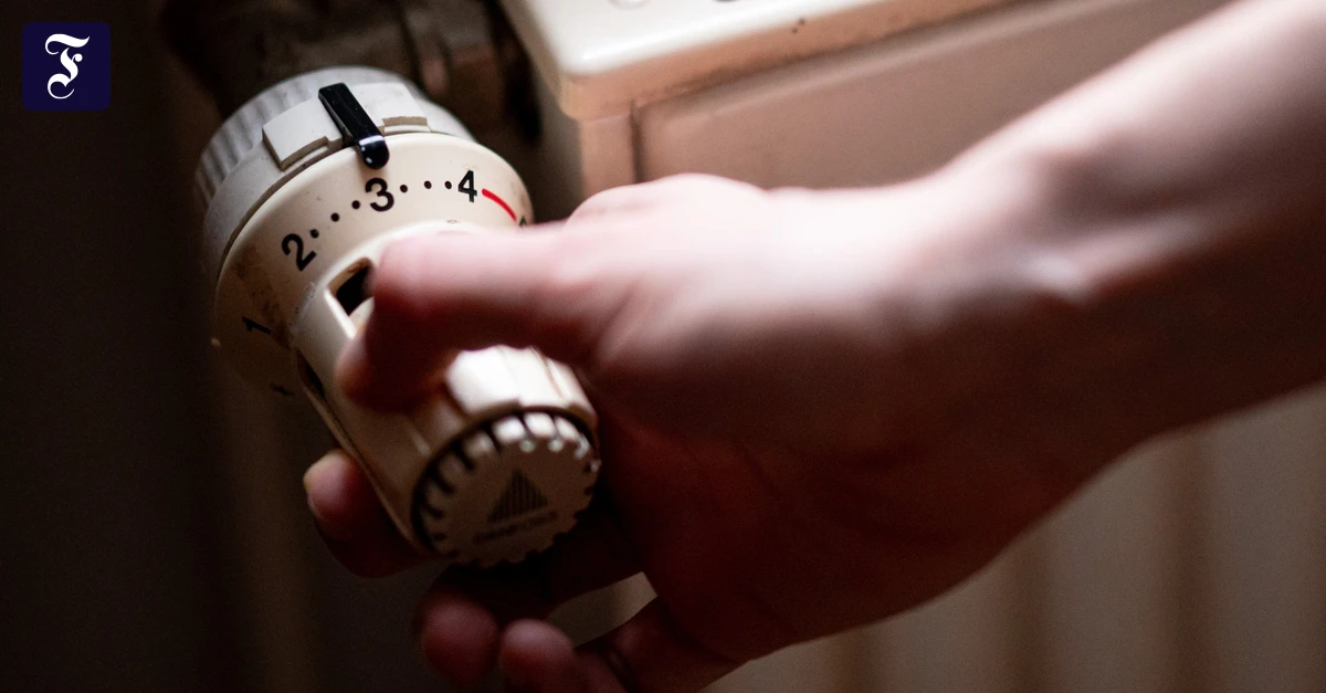schoen-warm-und-schoen-gruen.webp.webp