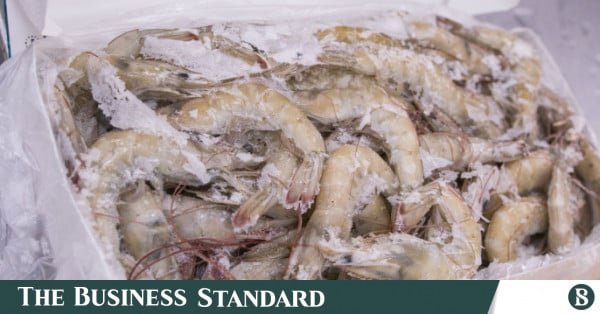 shrimp_2.jpg