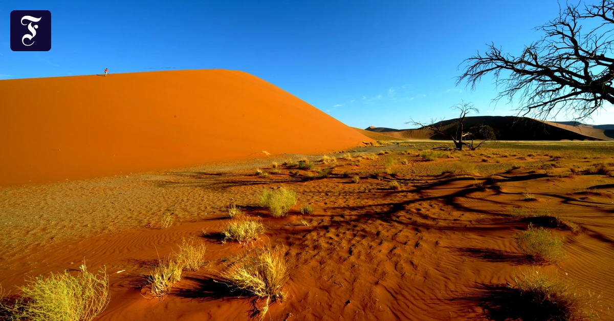 sossusvlei-ist-eines-der.webp.webp