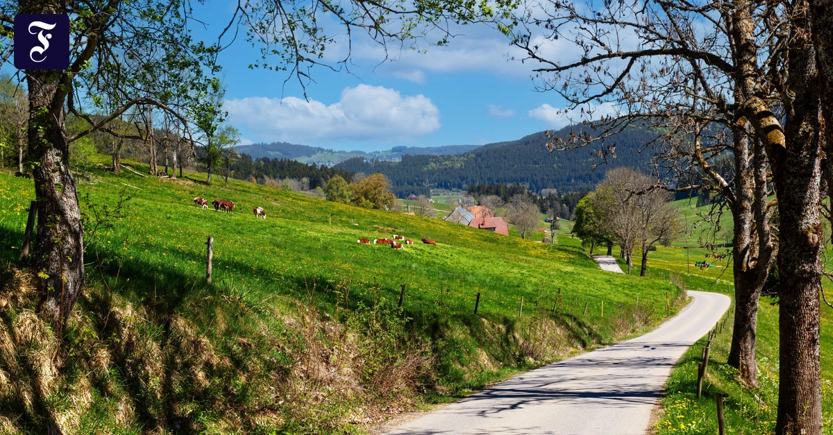statt-einer-fernreise-auch-die.webp.webp
