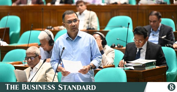 tarique_parliament_new.jpeg