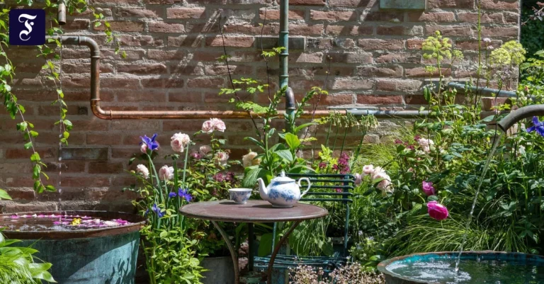 teatime-mit-pflanztroegen.webp.webp
