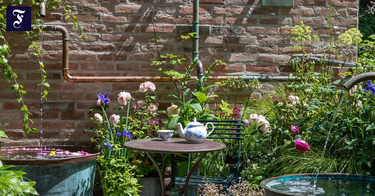 teatime-mit-pflanztroegen.webp.webp