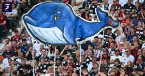 walsichtung-im-stadion-die.webp.webp