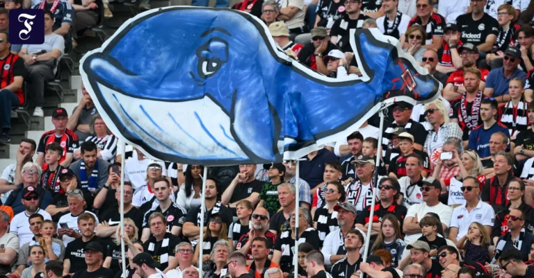walsichtung-im-stadion-die.webp.webp