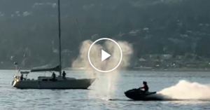 whale-crash-facebookJumbo.png