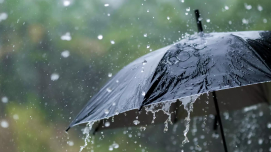 1781937902_rain_0_0.png
