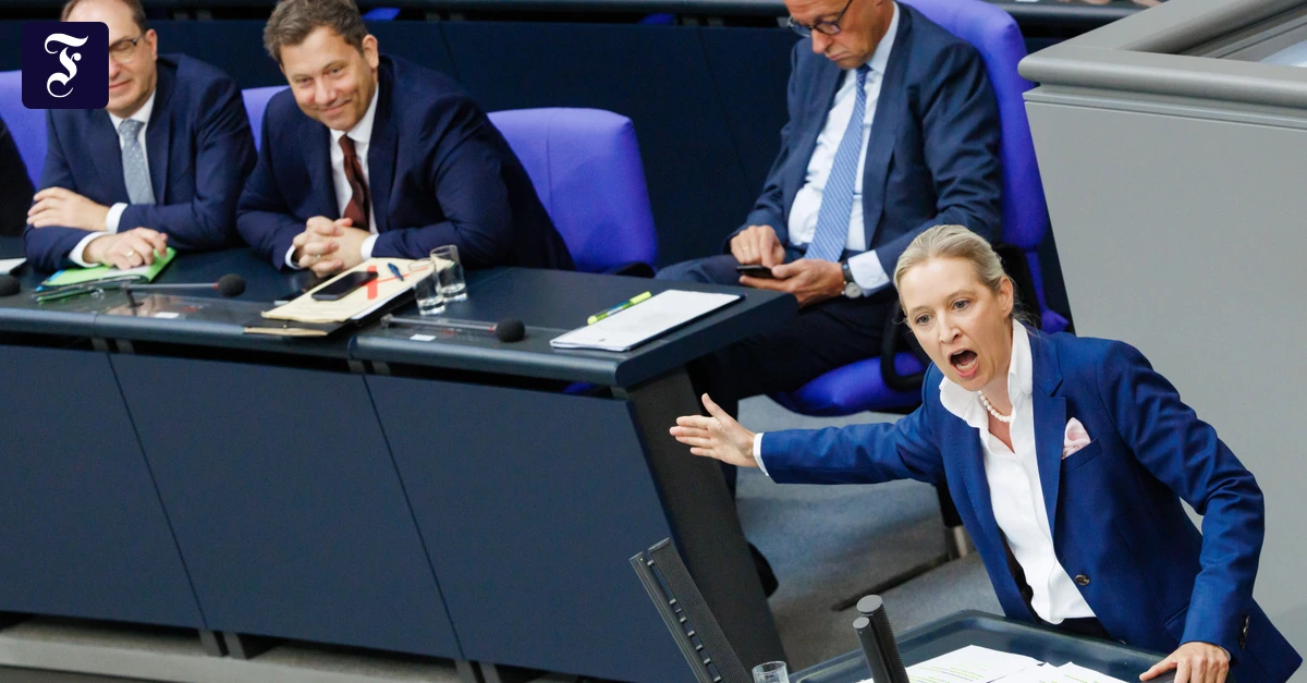 afd-fraktionschefin-alice.webp.webp