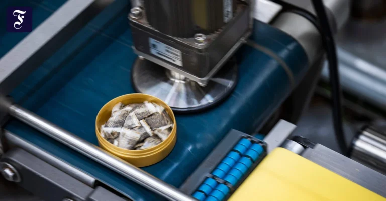 am-band-eine-snus-fabrik-von.webp.webp