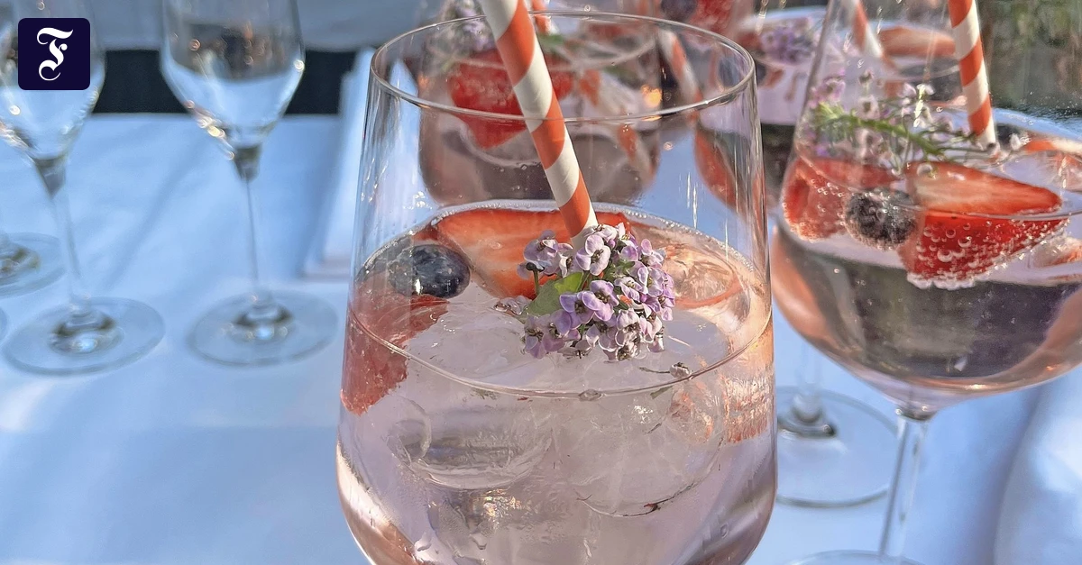 auf-liechtenstein-wildberry.webp.webp