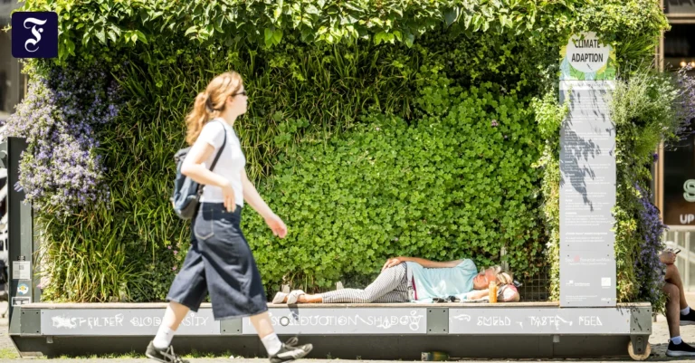 begehrter-schattenplatz-eine.webp.webp