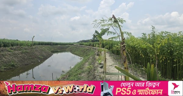 canal.jpg