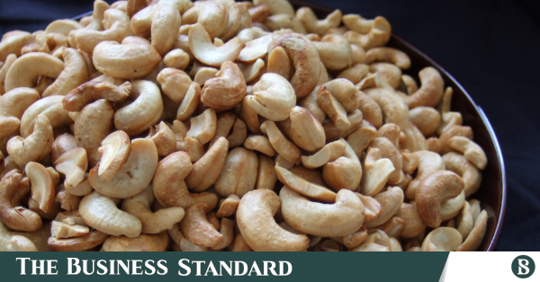 cashew_nuts.png