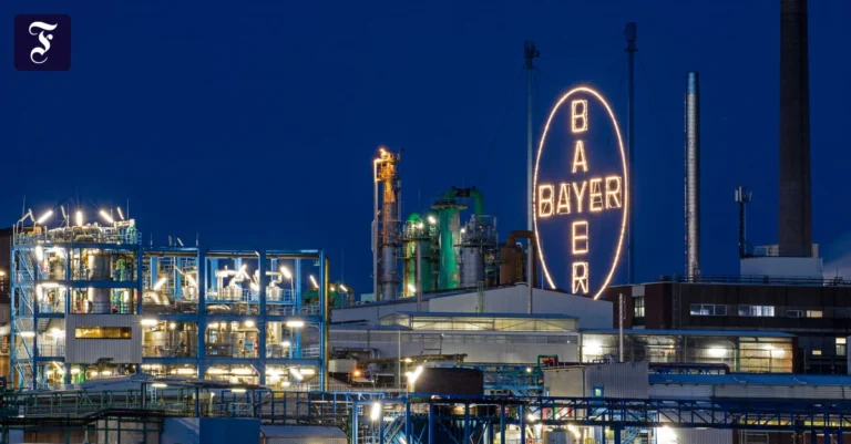 das-bayer-kreuz-leuchtet-auf.webp.webp