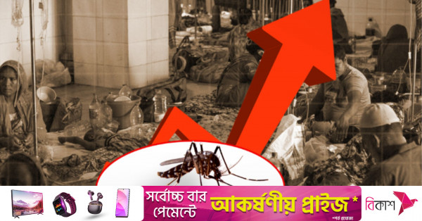 dengue.jpg