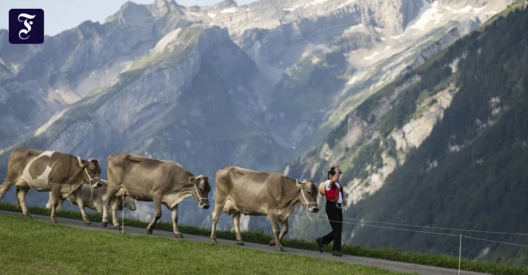 der-berg-saentis-so-schoen-die.webp.webp