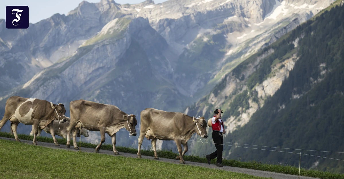 der-berg-saentis-so-schoen-die.webp.webp