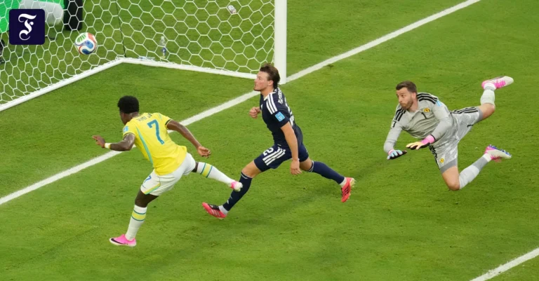 der-brasilianer-vinicius.webp.webp