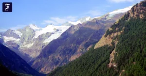 der-gran-paradiso-im.webp.webp