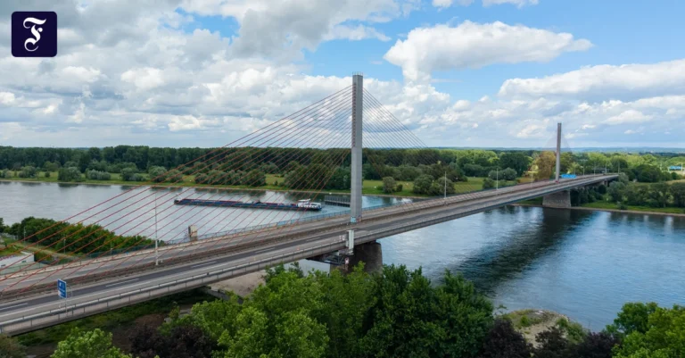 die-friedrich-ebert-bruecke.webp.webp